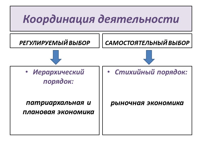 Координация деятельности РЕГУЛИРУЕМЫЙ ВЫБОР Иерархический порядок:       патриархальная и